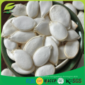 EU standard EUROFINS certified snow white pumpkin seeds